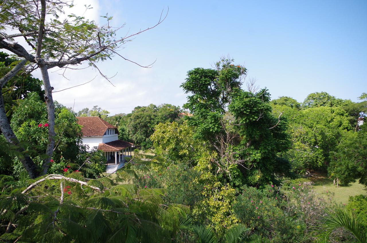 Retro Hotell Zanzibar Eksteriør bilde